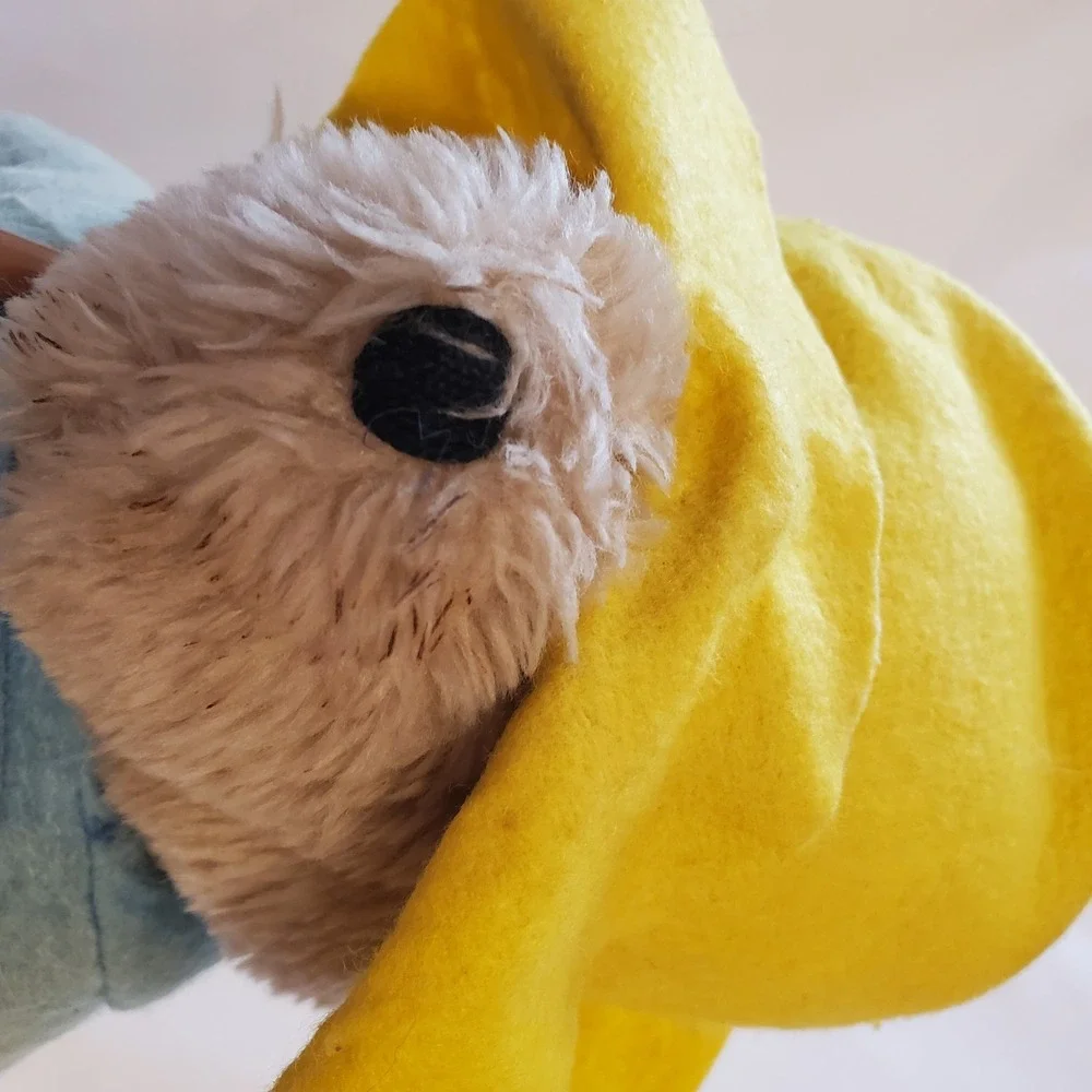 RARE Paddington Bear 14